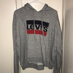 Gray Levi’s hoodie
